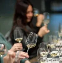 Cata de vinos y enoturismo en los viñedos de Burdeos