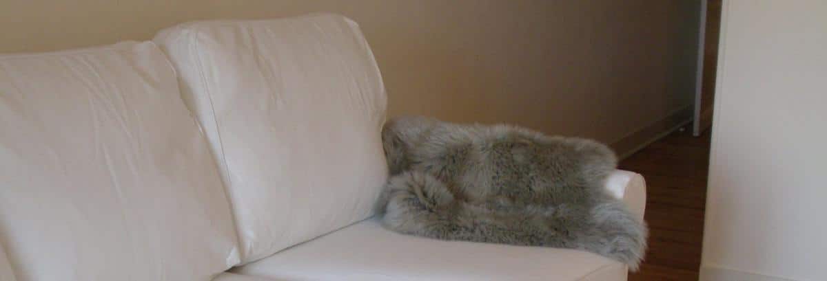 Apartment 4 6 People Family Friendly B B Bordeaux Centre